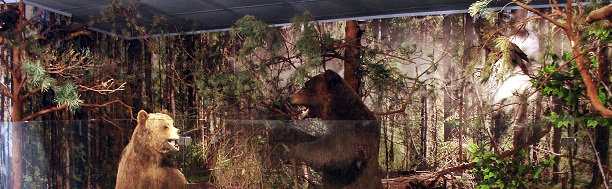 Музей природы